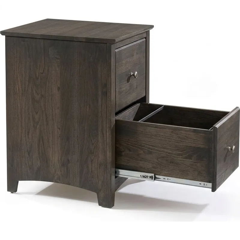 2 Drawer File