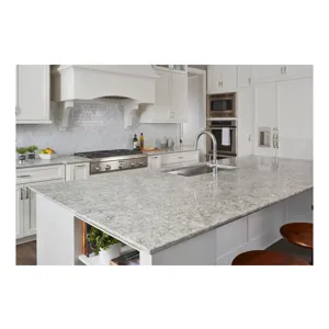 Berwyn Polished | Quartz