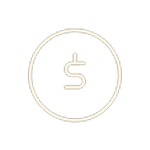 Money icon