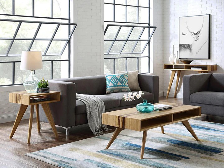 Living room with modern Scandinavian furniture