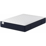 Auburnwood Firm 11" Mattress
