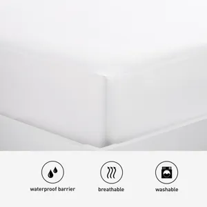 MatresSkin Mattress Encasement
