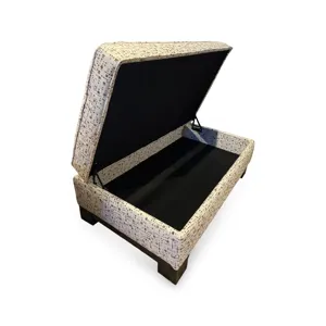 Kenton Patterned Storage Ottoman