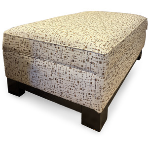 Kenton Patterned Storage Ottoman