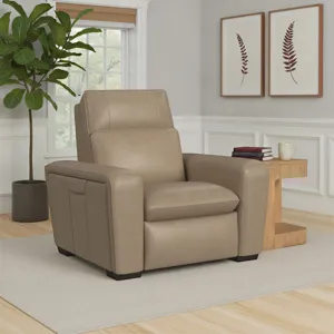 Sense Immersive Power Recliner with Power Headrest, & Lumbar