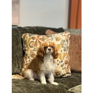 Marbella 2 PC Sectional