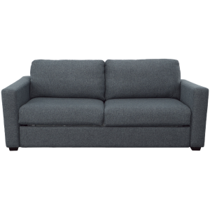 Sleeper Sofa