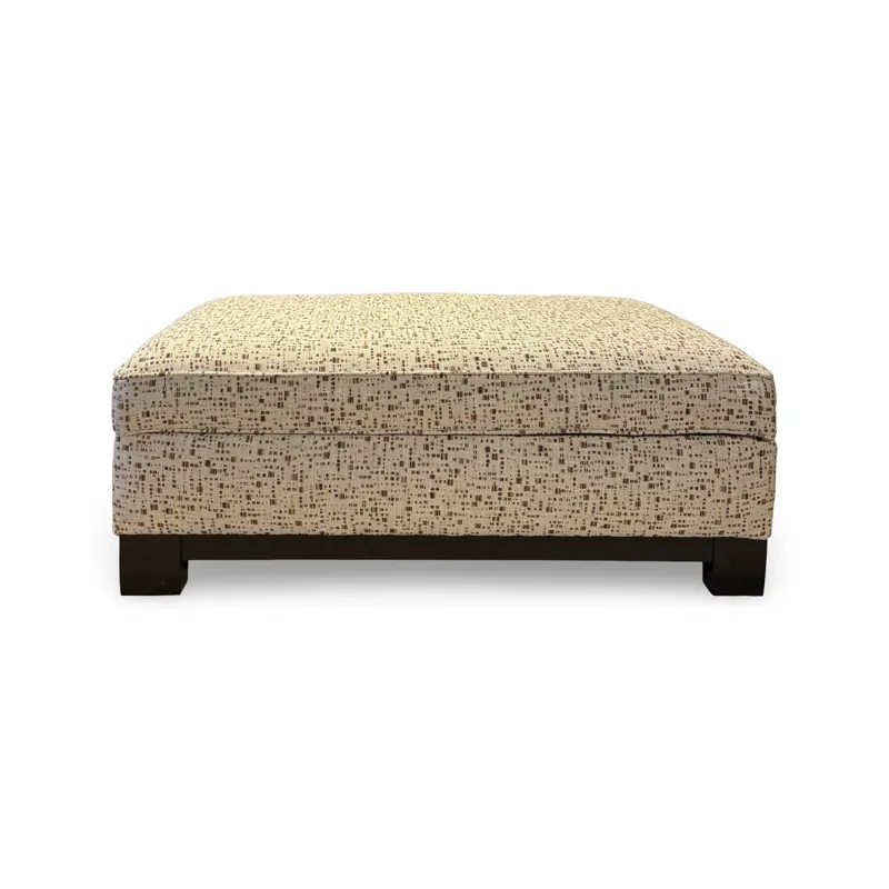 Kenton Patterned Storage Ottoman