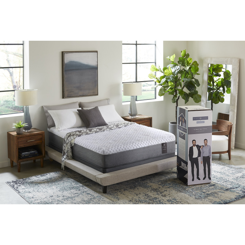 Scott Living 12" Mattress in a Box 5003599 by Restonic at Old Brick