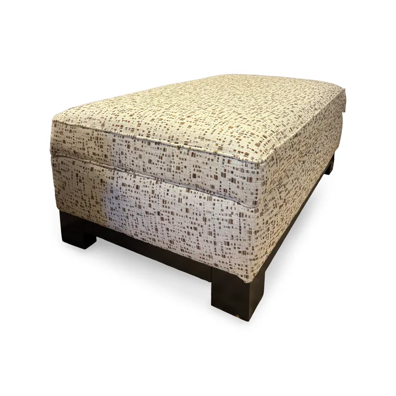Kenton Patterned Storage Ottoman