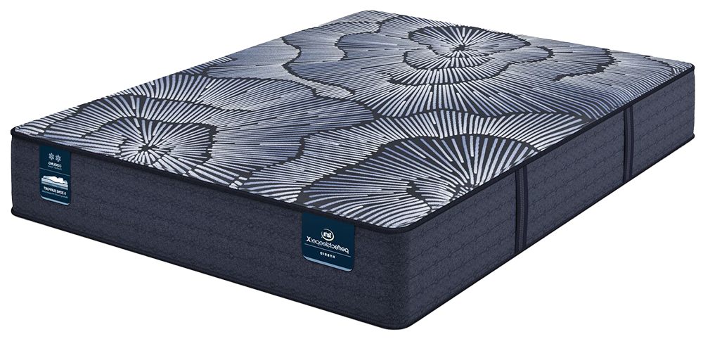Serta Perfect Sleeper