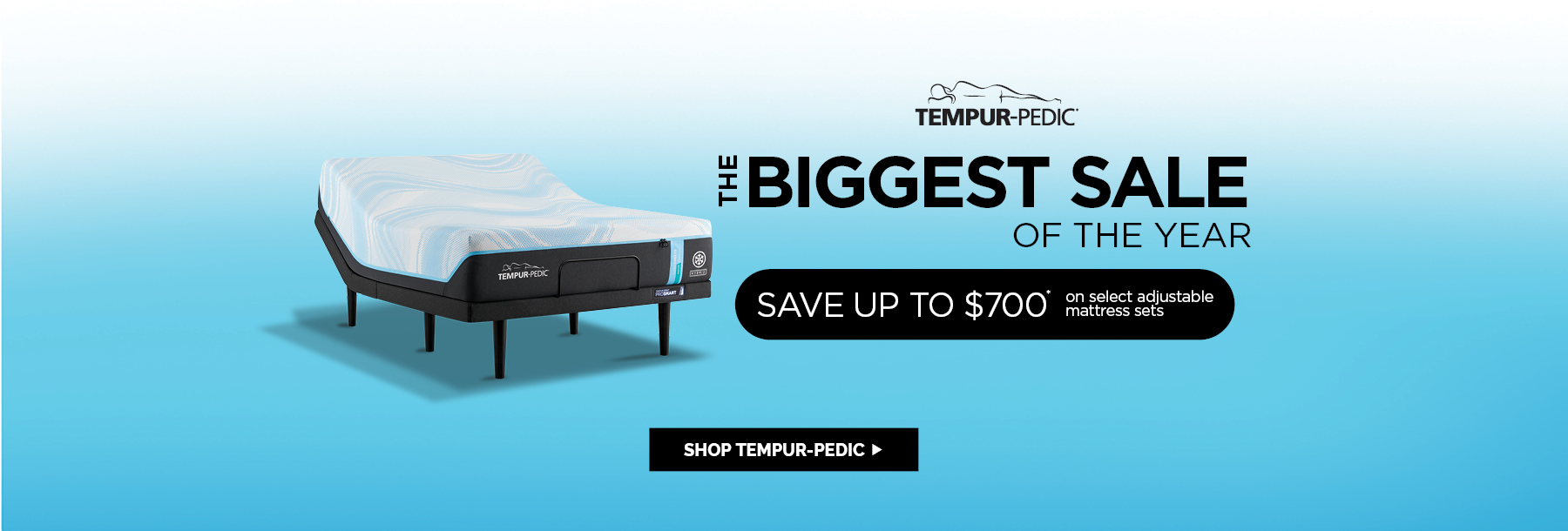 Labor Day Sale