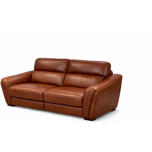 HTL Leather Power Reclining Loveseat 