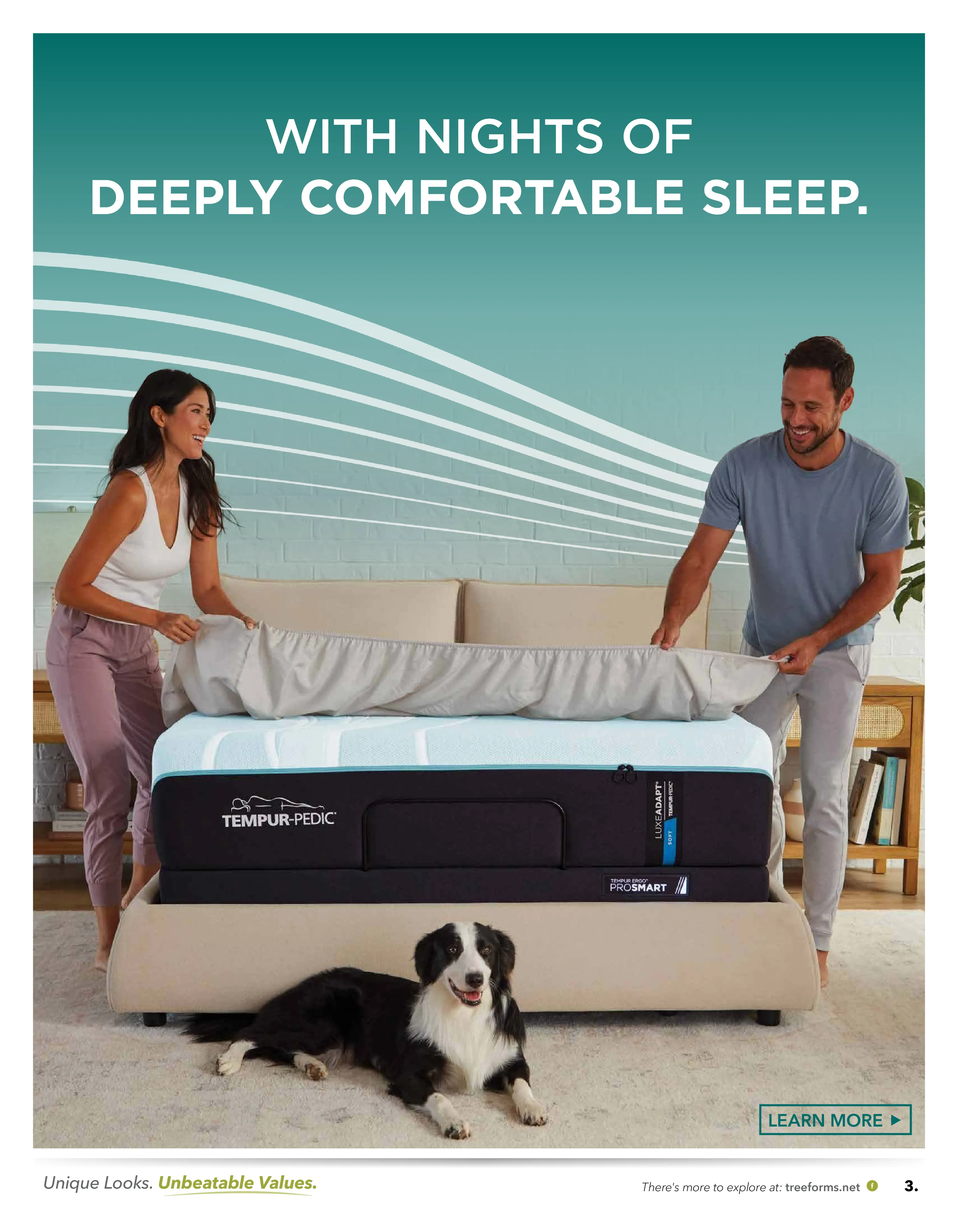 TREE-9021-25113-TempurBlackFriday-WebSpc-lr (2)