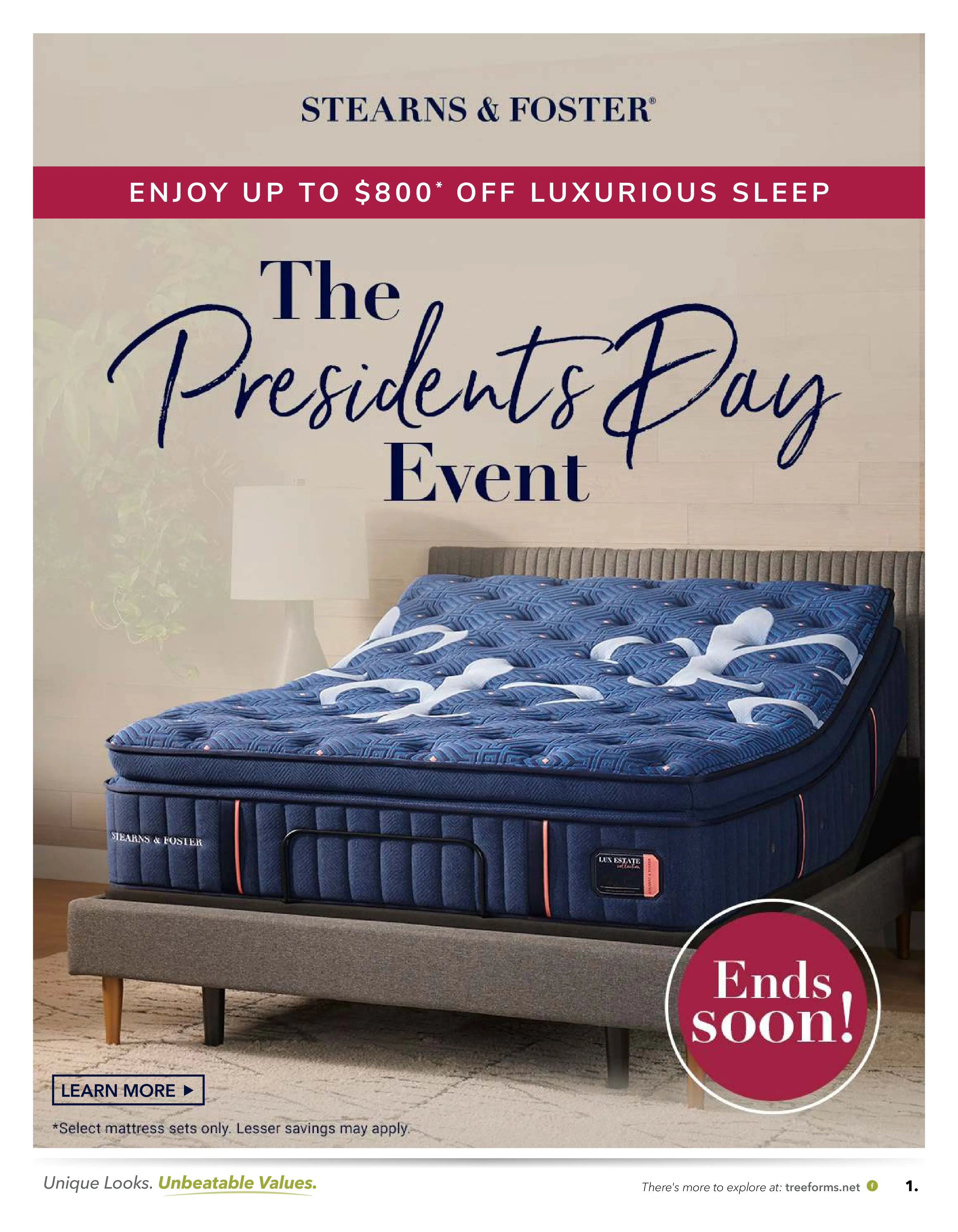 TREE-9021-2617-StearnsPresidentsDay-WebSpc-hr (3)