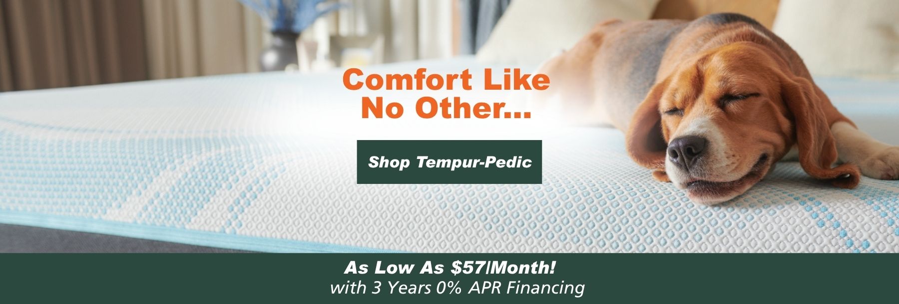 shop tempur bud 