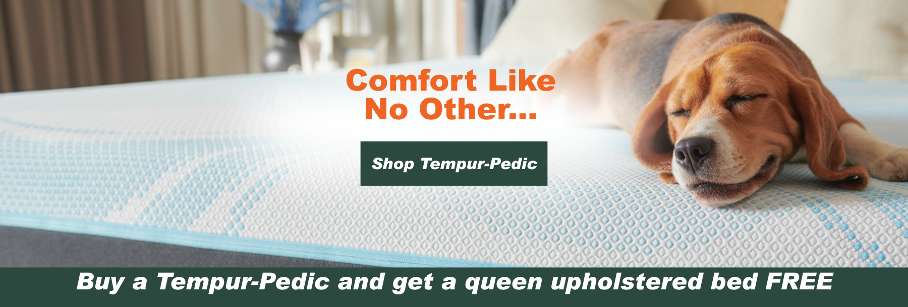 shop tempur bud  (4)