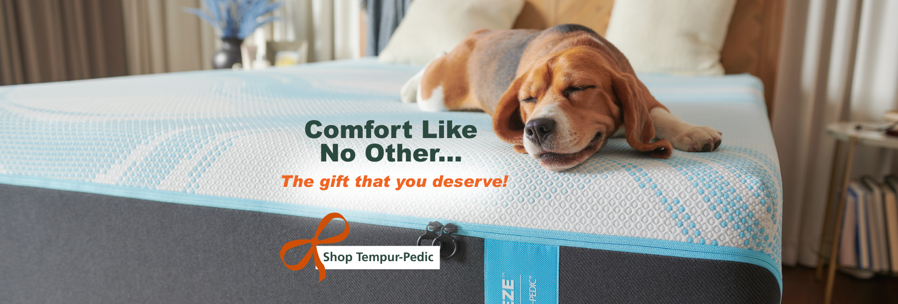 shop tempur bud  (2)