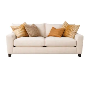 Two Cushion Sofa