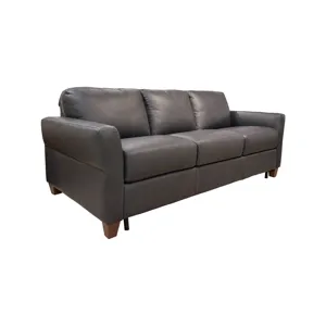 Eric Sleeper Sofa