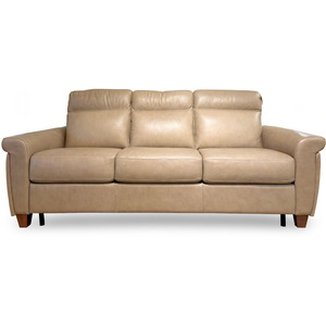 Ferna Sleeper Sofa