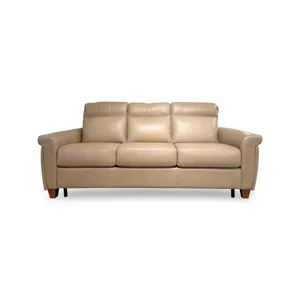 Ferna Sleeper Sofa