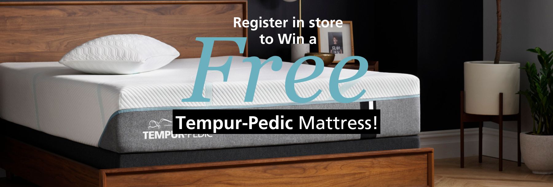 Win Tempur- Fine