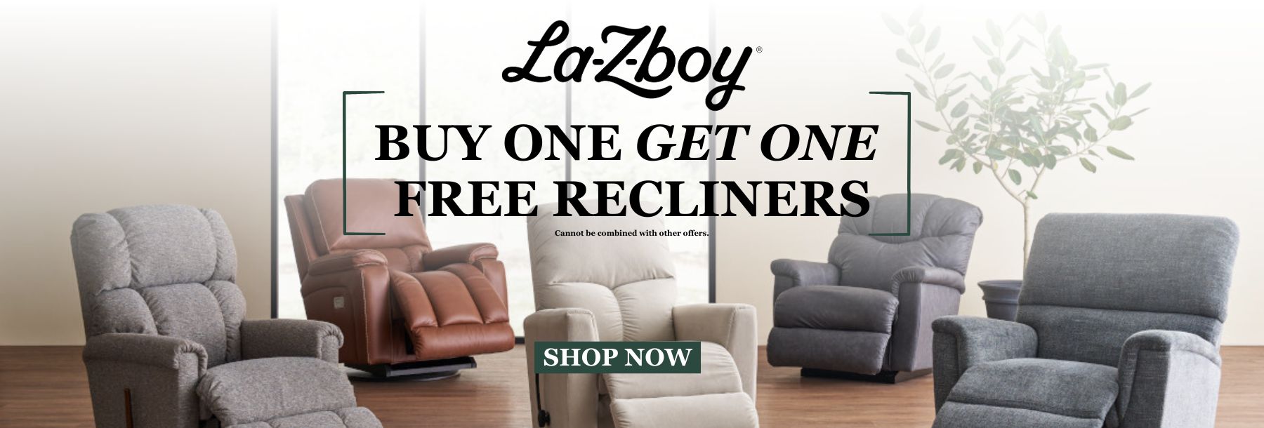 Buy One Get One Free Recliner Sale 