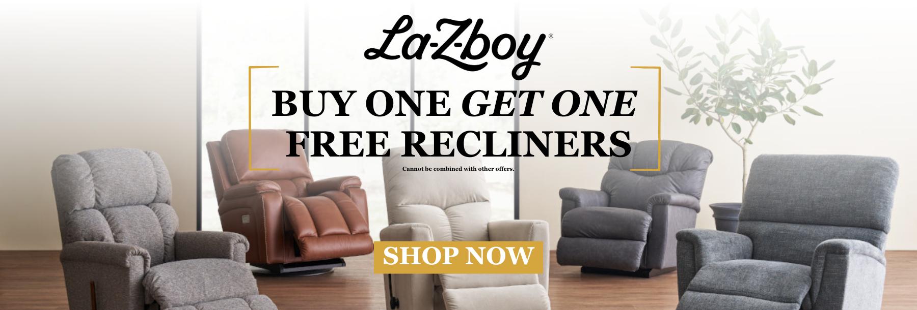 Buy One Get One Free Recliners 