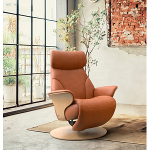 Adam Power Recliner