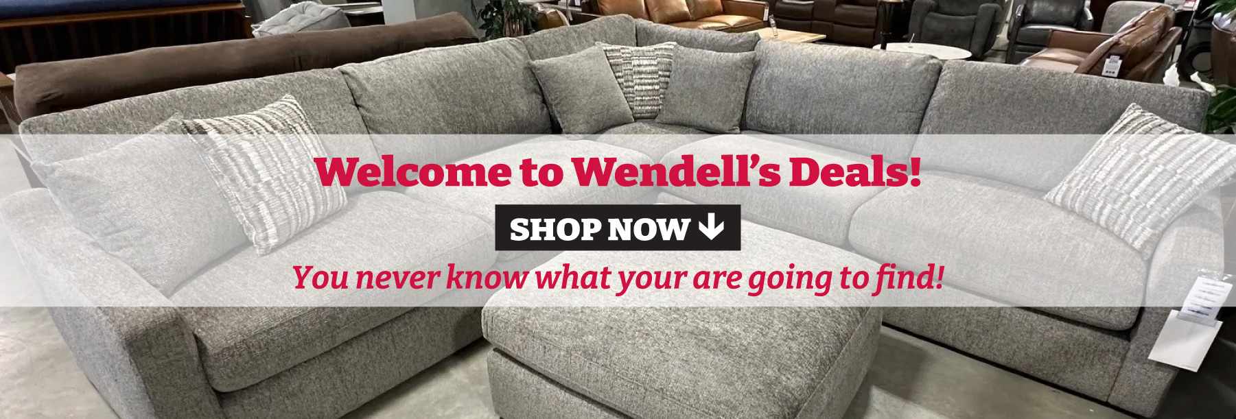 Wendells-Deals-Page-1800x610-07032 (1)