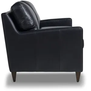 S25c_CORONADO_610-685_BL981087