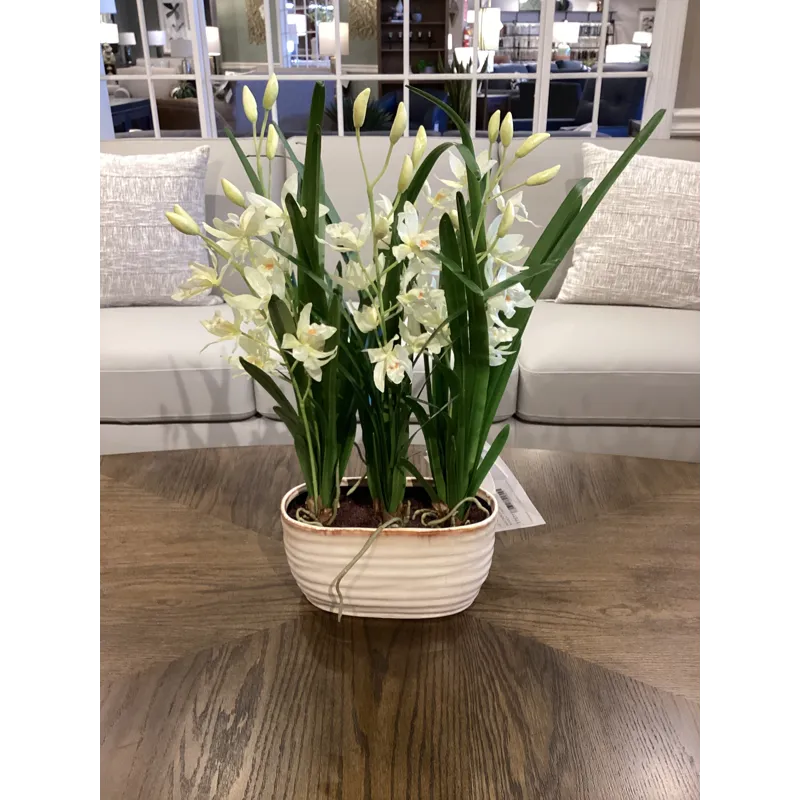 Ariana Orchid Planter