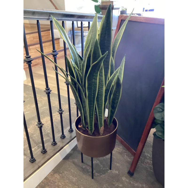 Fasita Planter