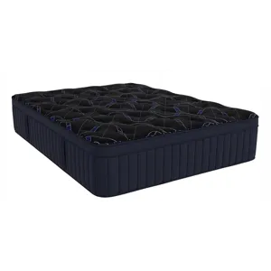 Archer Euro Top Mattress