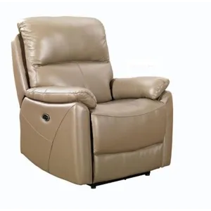 Leather Power Recliner