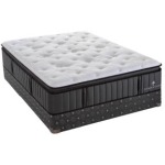 Trailwood Plush Pillow Top