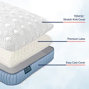 STEARNS LATEX PILLOW
