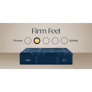 Legacy Firm Hybrid II