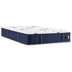 Studio (Medium Tight Top) 14" Mattress