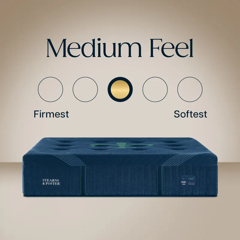 Reserve Medium Hybrid II