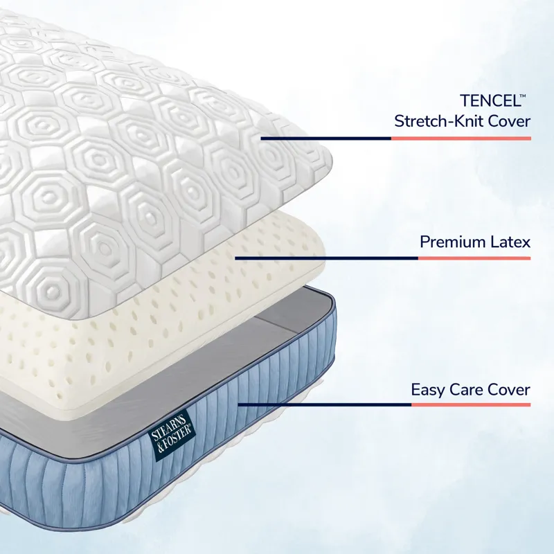 STEARNS LATEX PILLOW