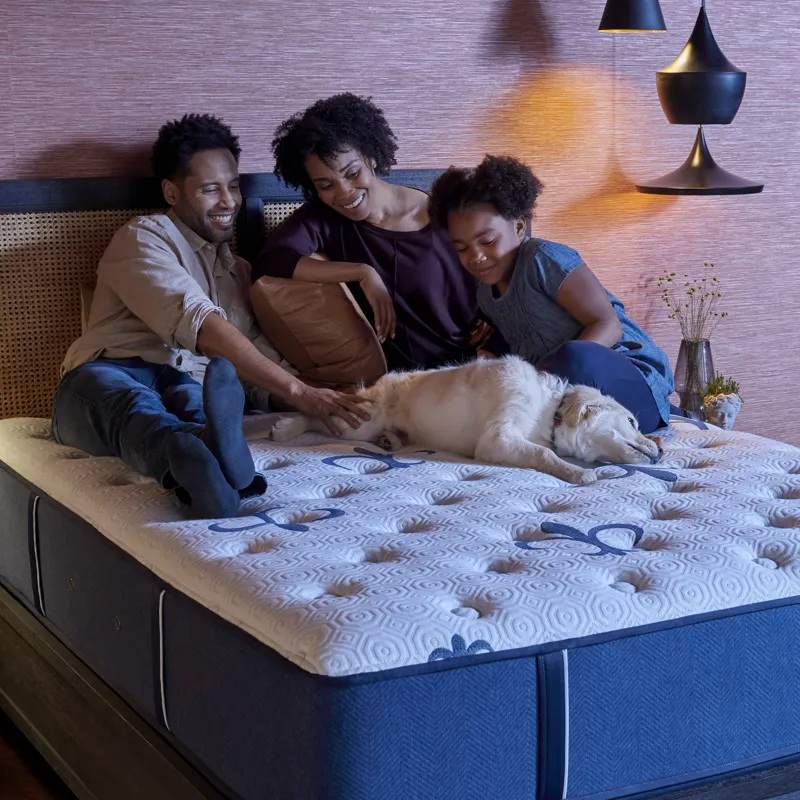 Studio (Medium Tight Top) 14" Mattress