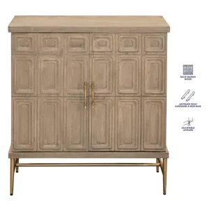 Arun 2-Door Accent Cabinet