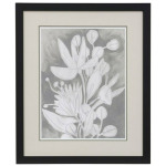 Spectral Blooms I Framed Print Under Glass