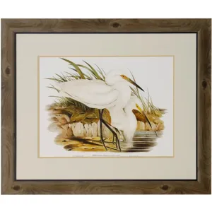 Waterbird Pairing I Framed Print Under Glass