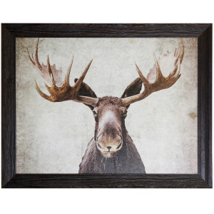 Moose Framed Textured Animal Print