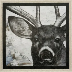 Deer Portrait Textured Framed Print