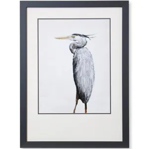 Grey Heron I Framed Print Under Glass