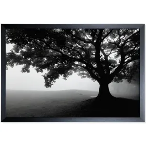 Framed Print Under Glass